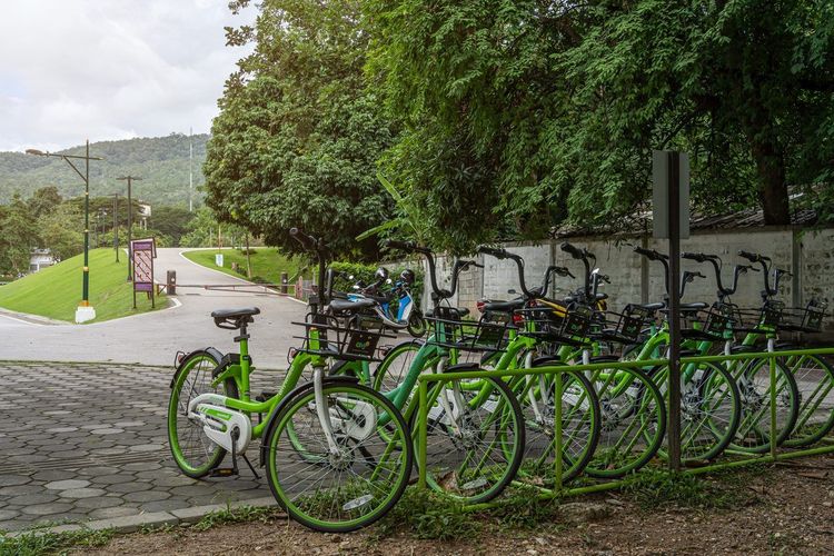 location vélo Angers