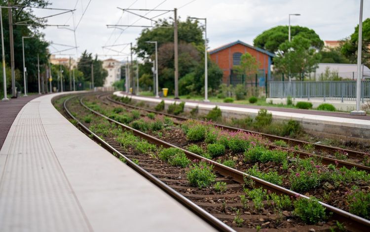 Gare d'Antibes