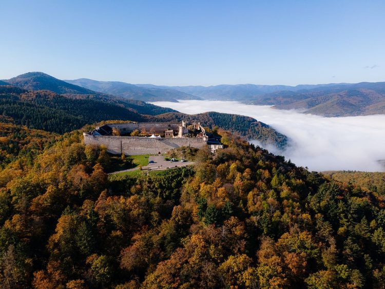 Château du Hohlandsbourg