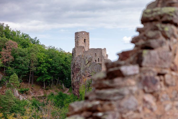 Château Saint-Ulrich Ribeauvillé