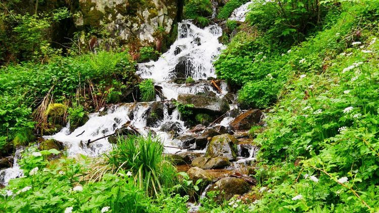 Cascade du Hohwald