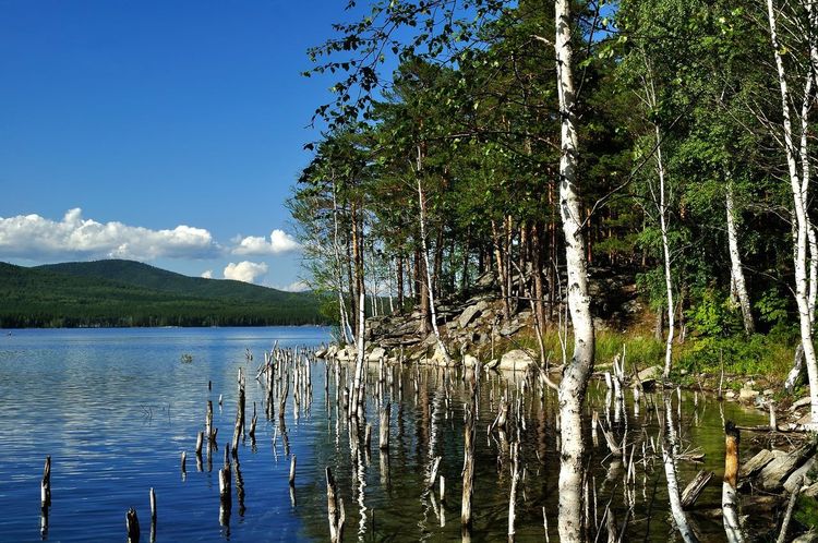 Lac de Saint-Pardoux