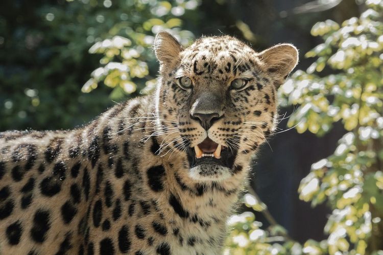 Zoo de Mulhouse