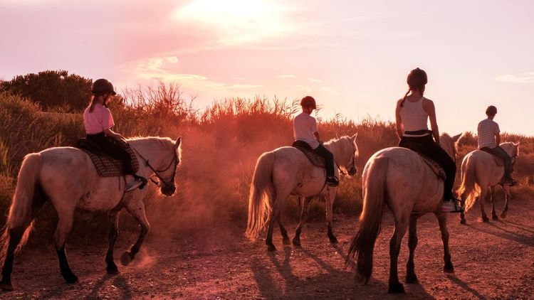 cheval-camargue-soiree
