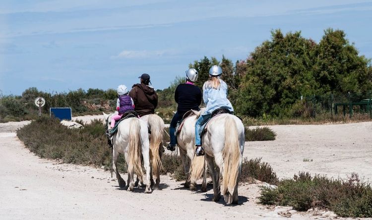 promenade-cheval-camargue