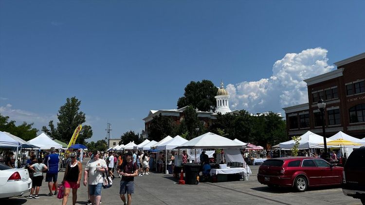 marché fermiers Logan