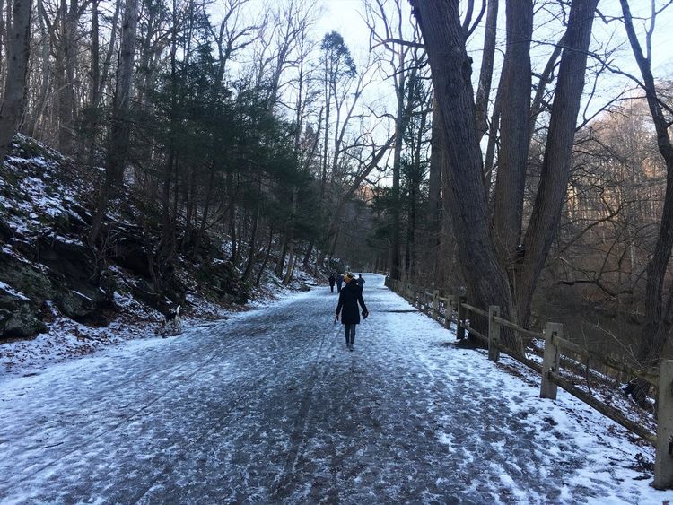 Wissahickon Valley Park