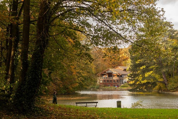 Bois de la Cambre