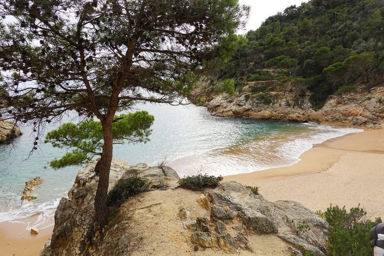 Cala Pola