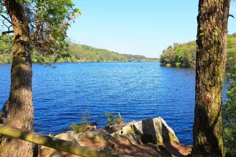 Lac de Guerlédan