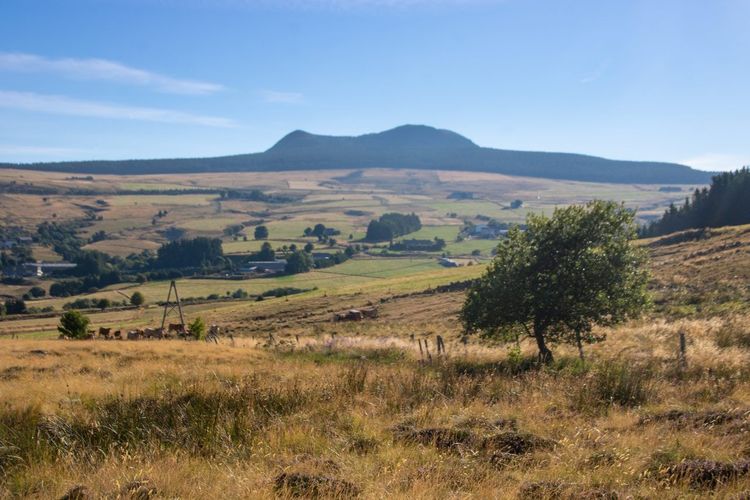 Mont Mézenc