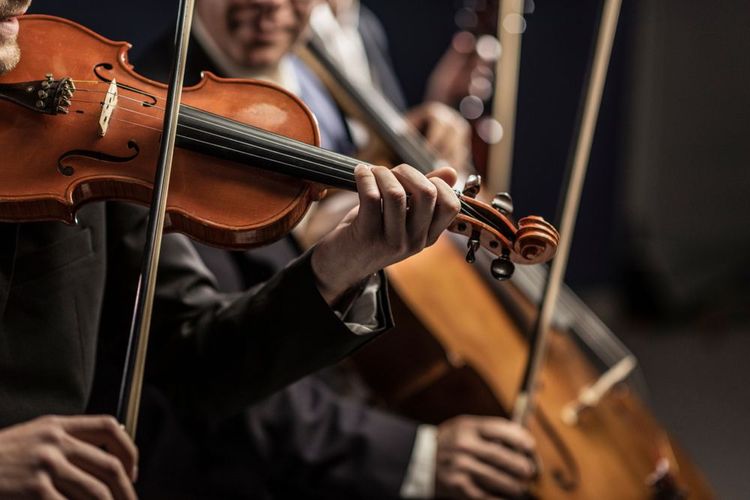 violoniste-opera-vienne
