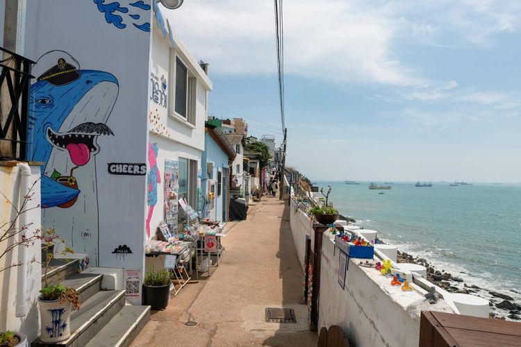 Busan falaise café