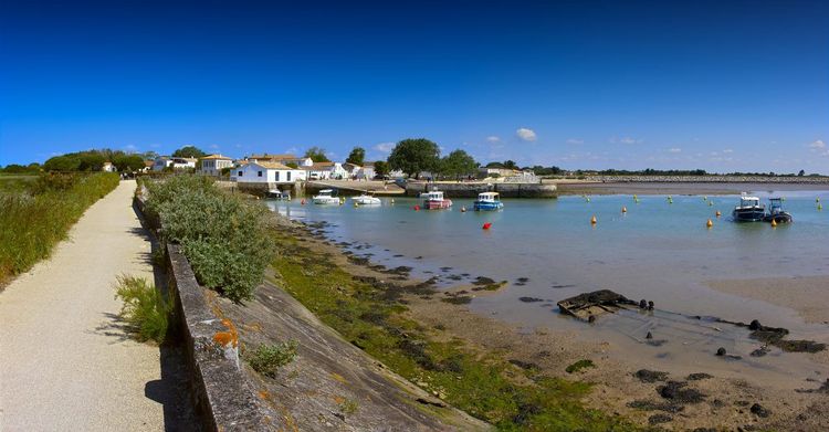 piste cyclable Île de Ré