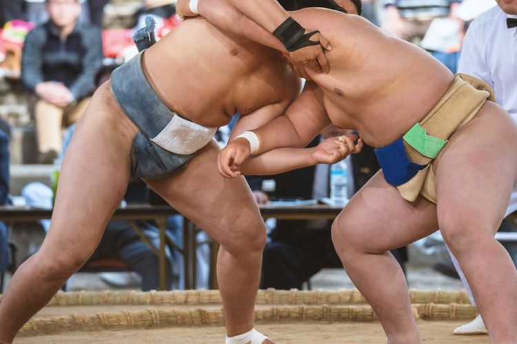 sumo-technique