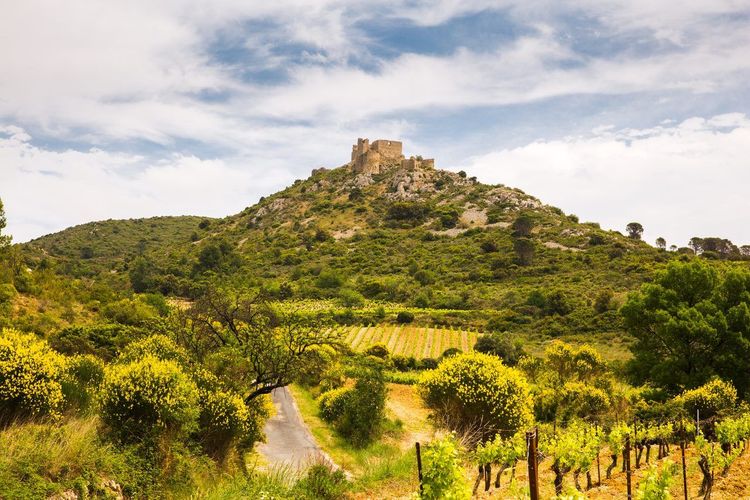 Châteaux cathares Corbières