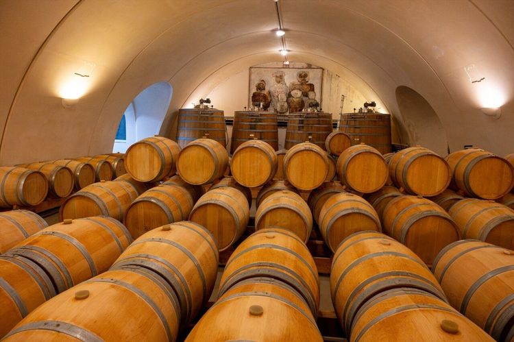 Vignoble Cahors Malbec