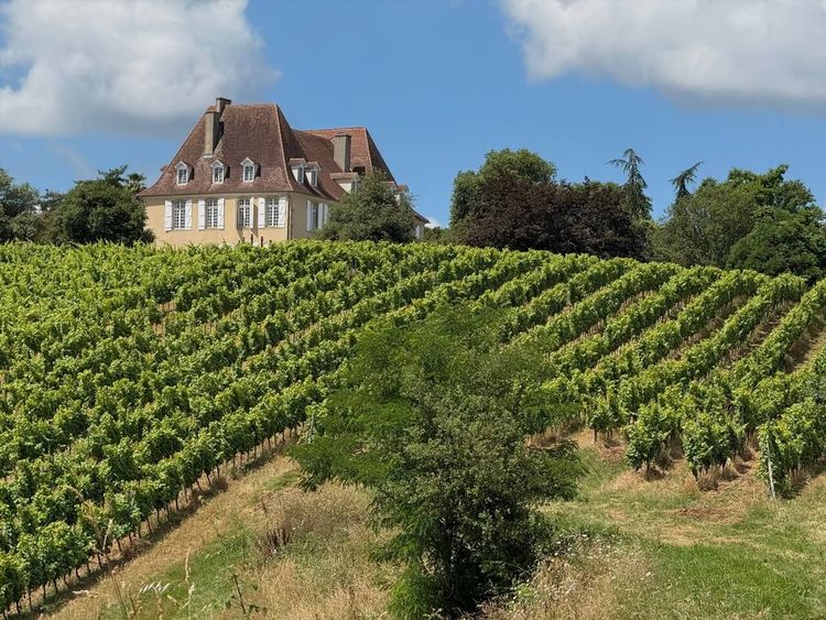 Vignoble Madiran