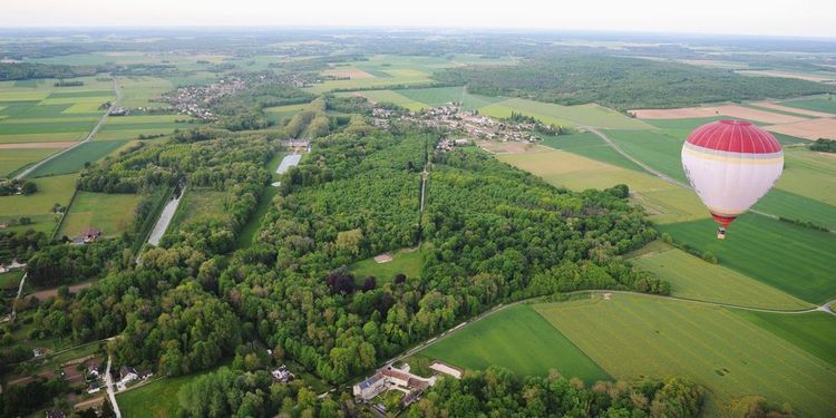 Fontainebleau forêt