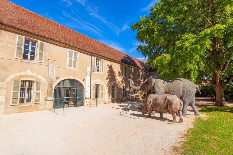 Jardin des Sciences Dijon