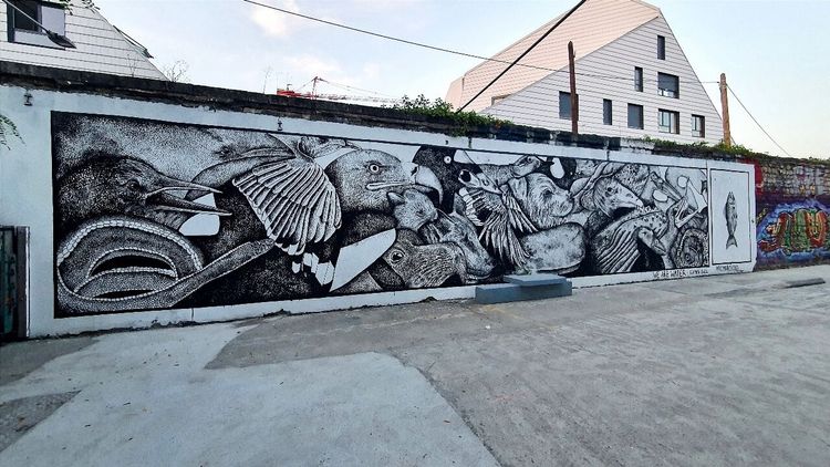 Street art Darwin Bordeaux