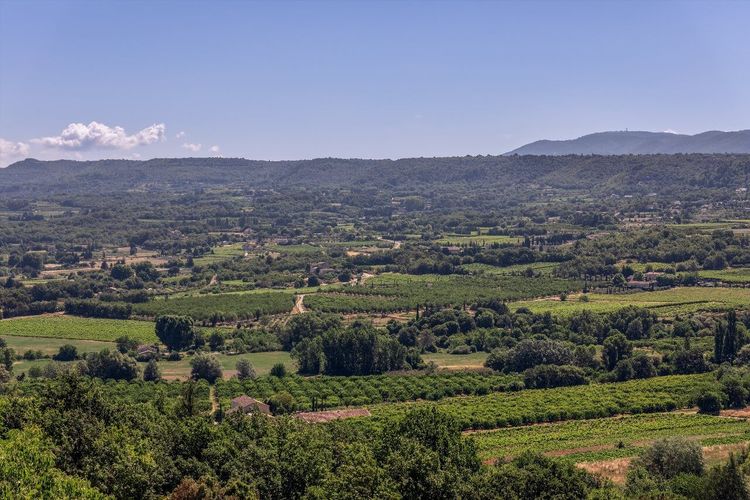 VTT Lubéron