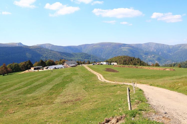 sentier-randonnee-alsace