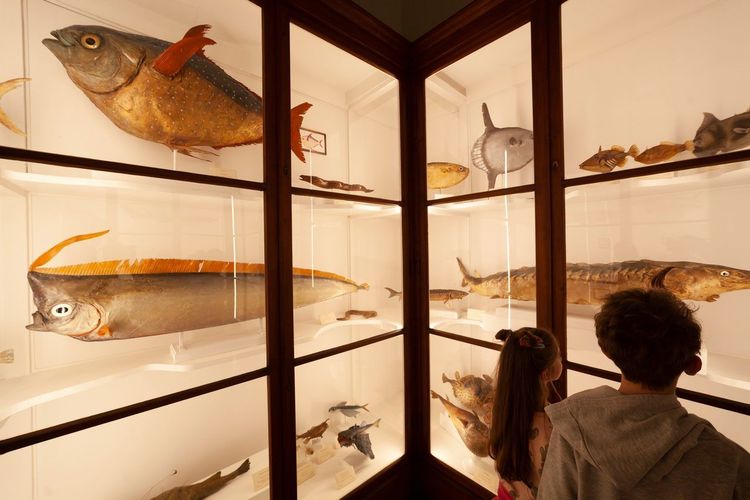 musées Florence enfants