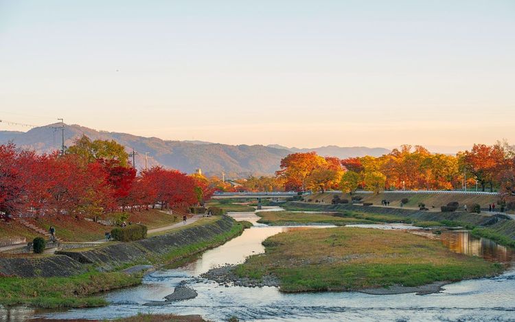 Rivière Kamo Kyoto