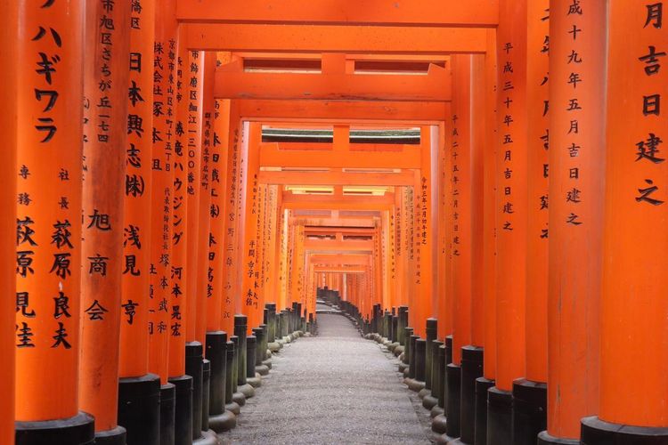 Torii sanctuaire Kyoto