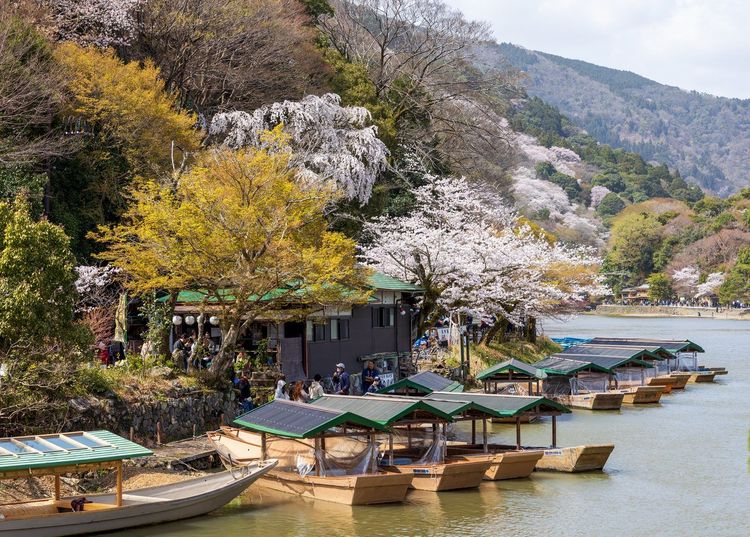 Parc Kameyama Kyoto