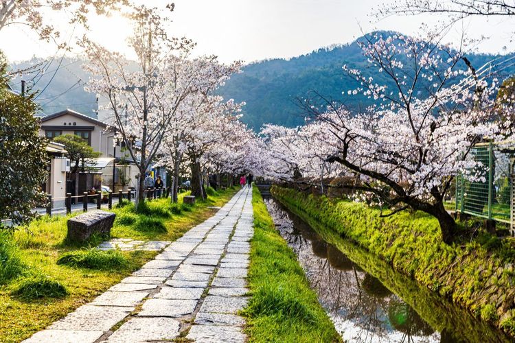 Philosopher's Path Kyoto