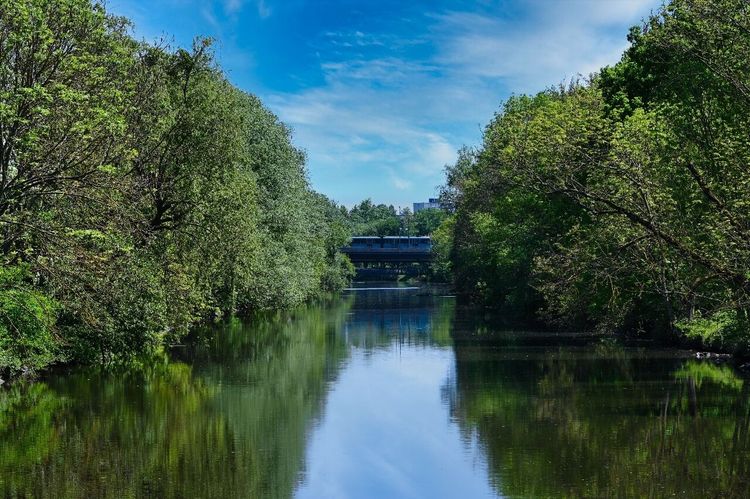 Nidda River Park