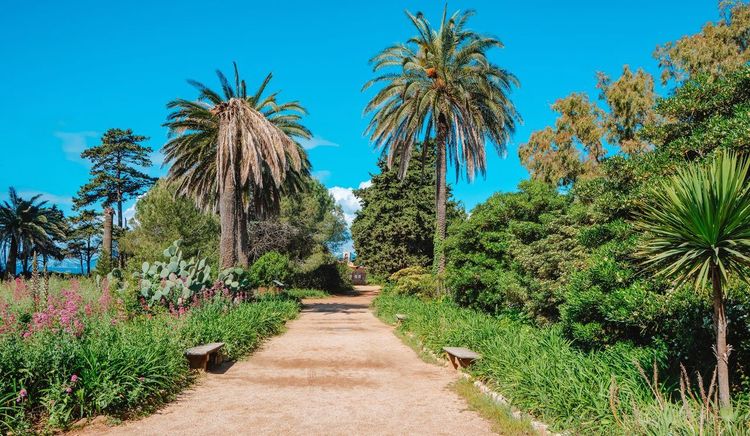 Îles de Lérins
