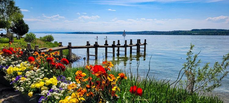 voile paddle lac