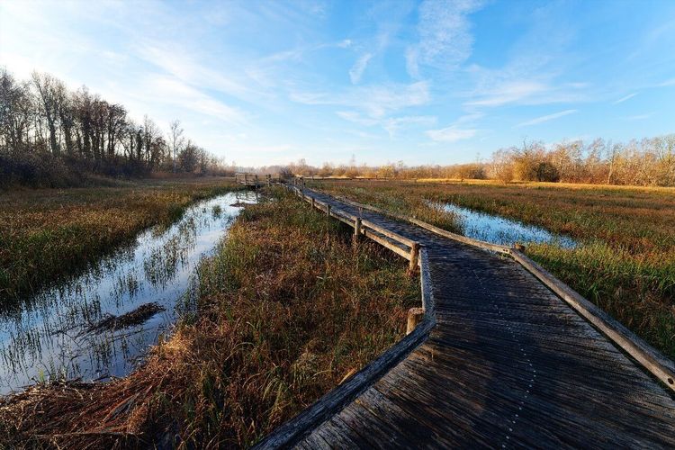 Parc Naturel Régional Landes