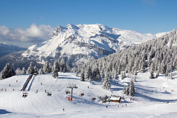 Domaine skiable Chamonix