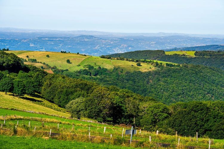 Aubrac lozérien