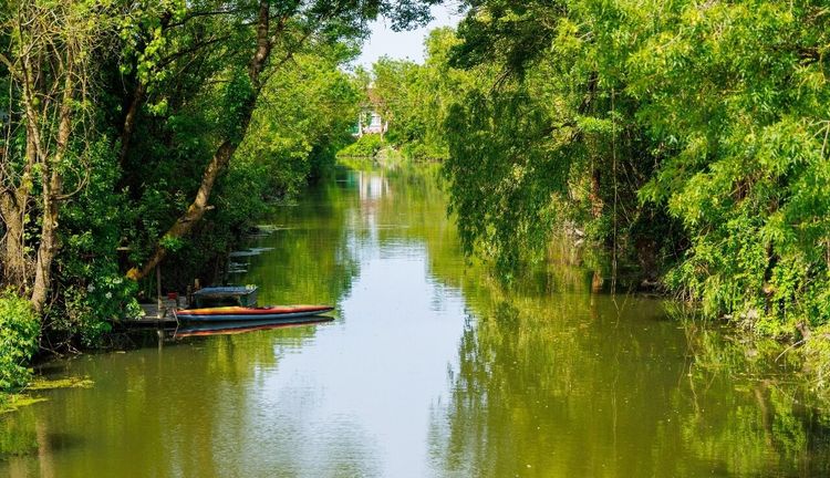 Marais poitevin