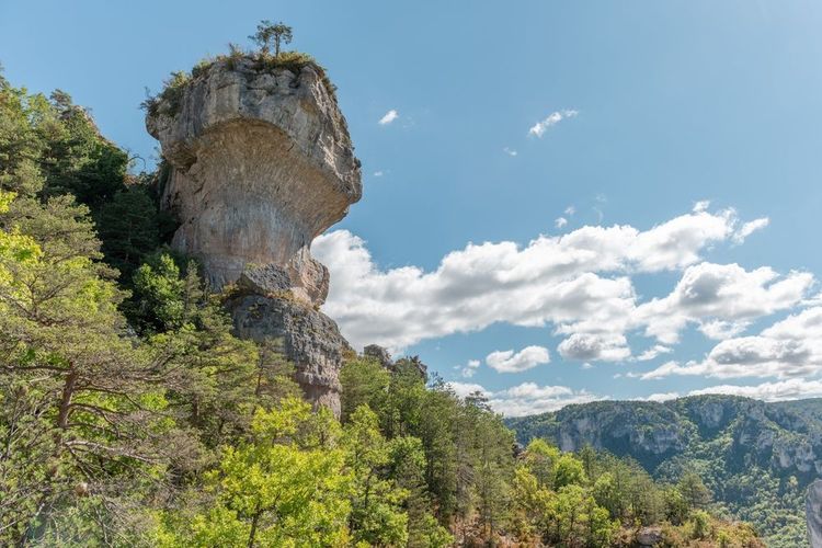 gorges-du-gardon
