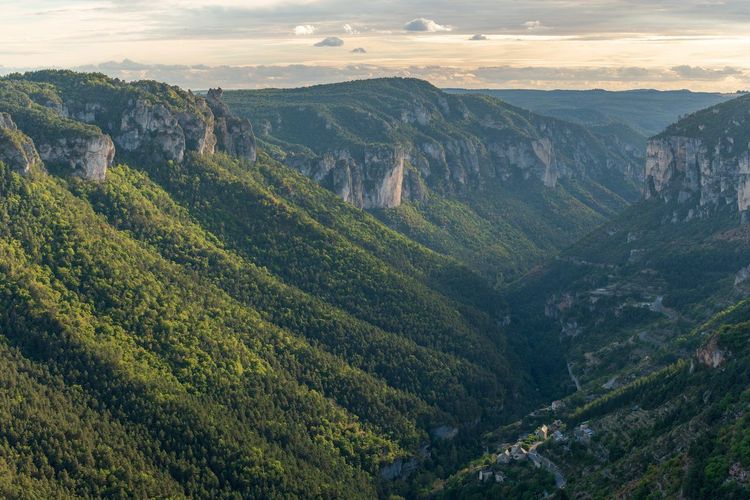 Gorges de la Jonte