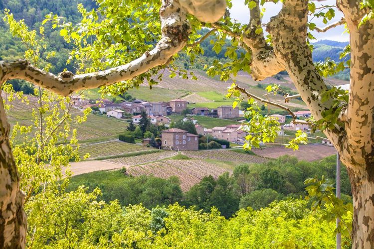 Vaux-en-Beaujolais