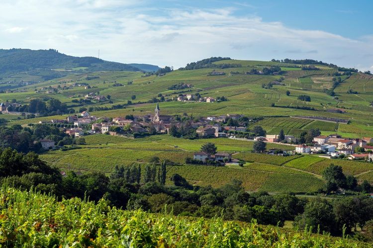 Juliénas Beaujolais
