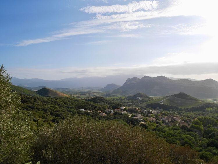Vignoble Patrimonio Corse