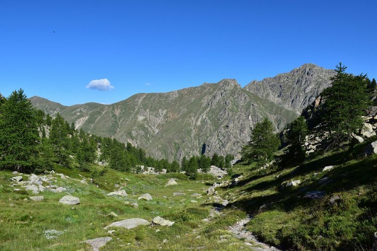 Vallée des Merveilles