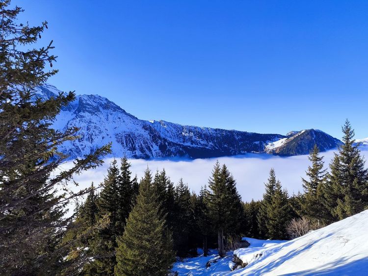 Pralognan-la-Vanoise