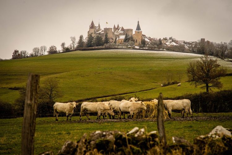 Châteauneuf-en-Auxois