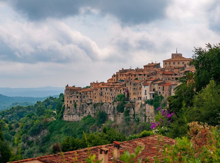 Fête des Violettes Tourrettes-sur-Loup