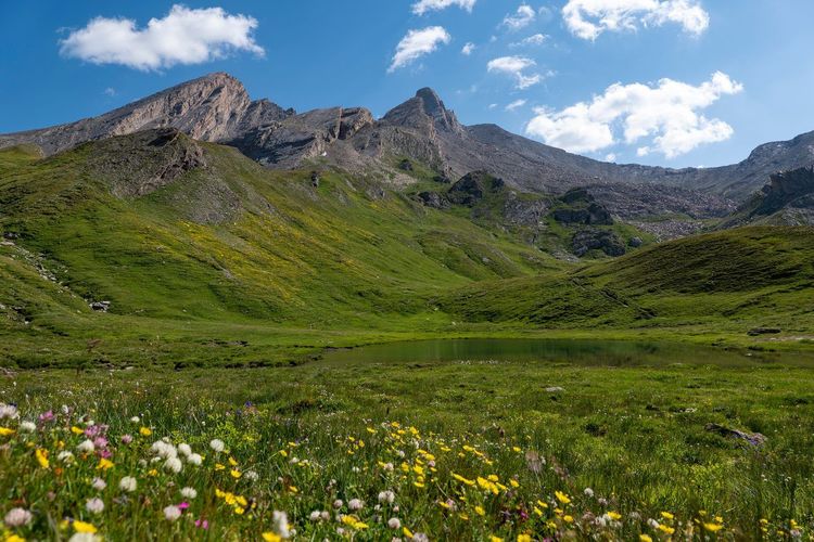 Col Agnel