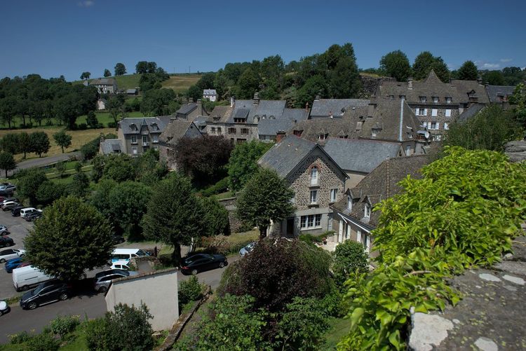 Salers Cantal